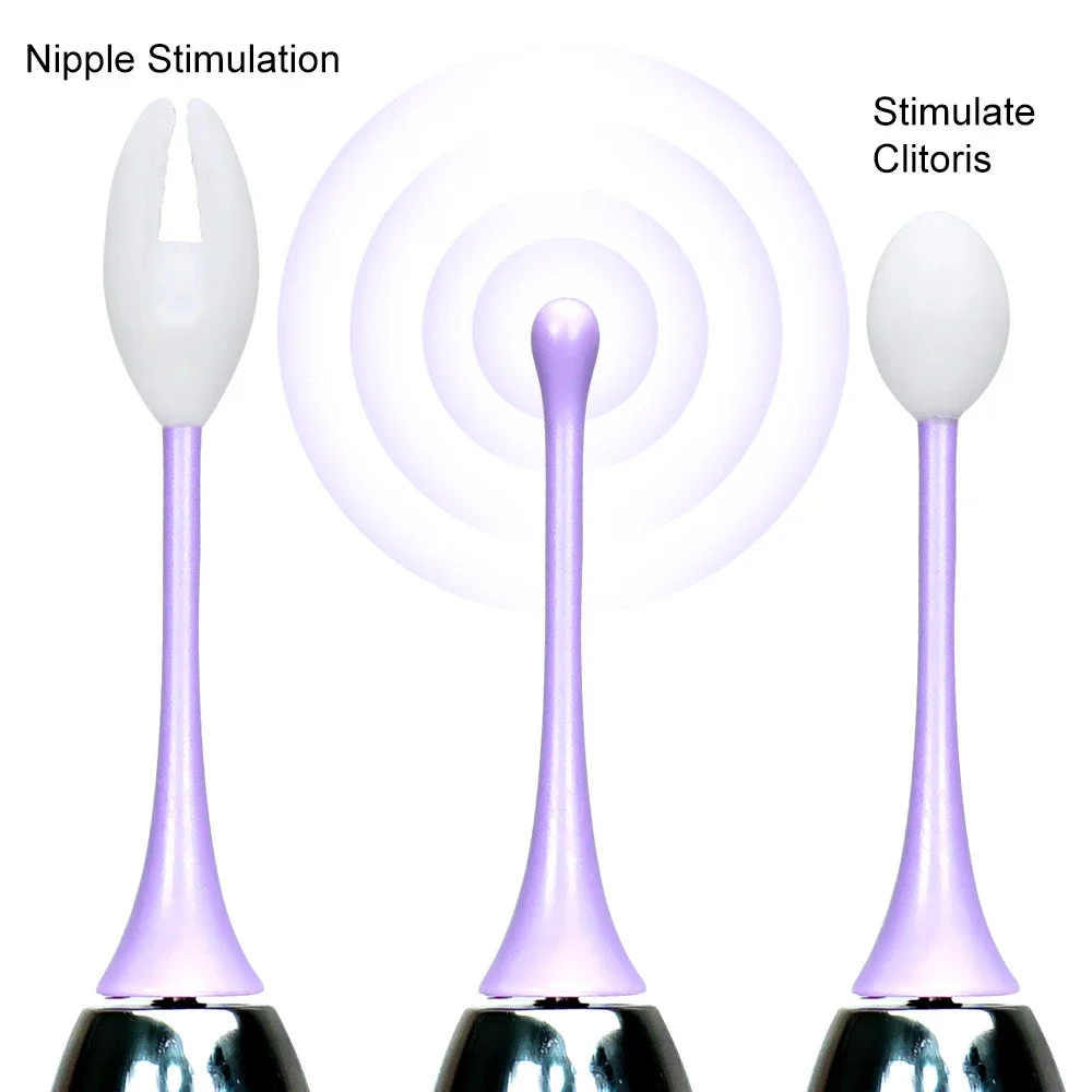 S0dc0d9069ce749b9ad4d19217621e29as