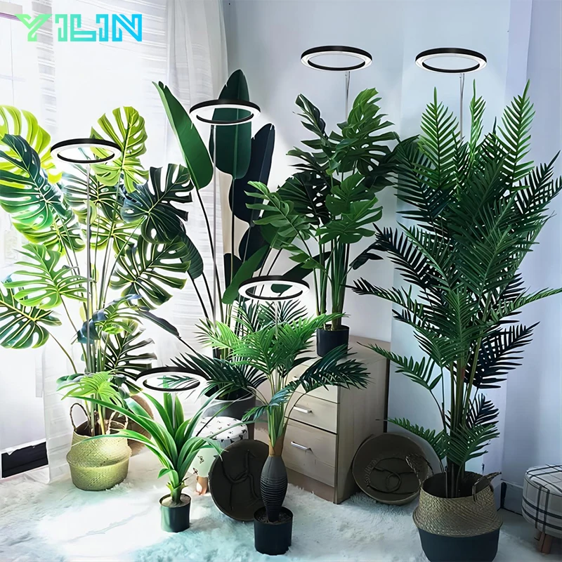 LED Grow Lamp LED Plant Light 16cm/6.3inch Ring LED Plant Grow Light Dimmable Full Spectrum Growing Lamp Adjustable Smart Timer For Indoor Plants
