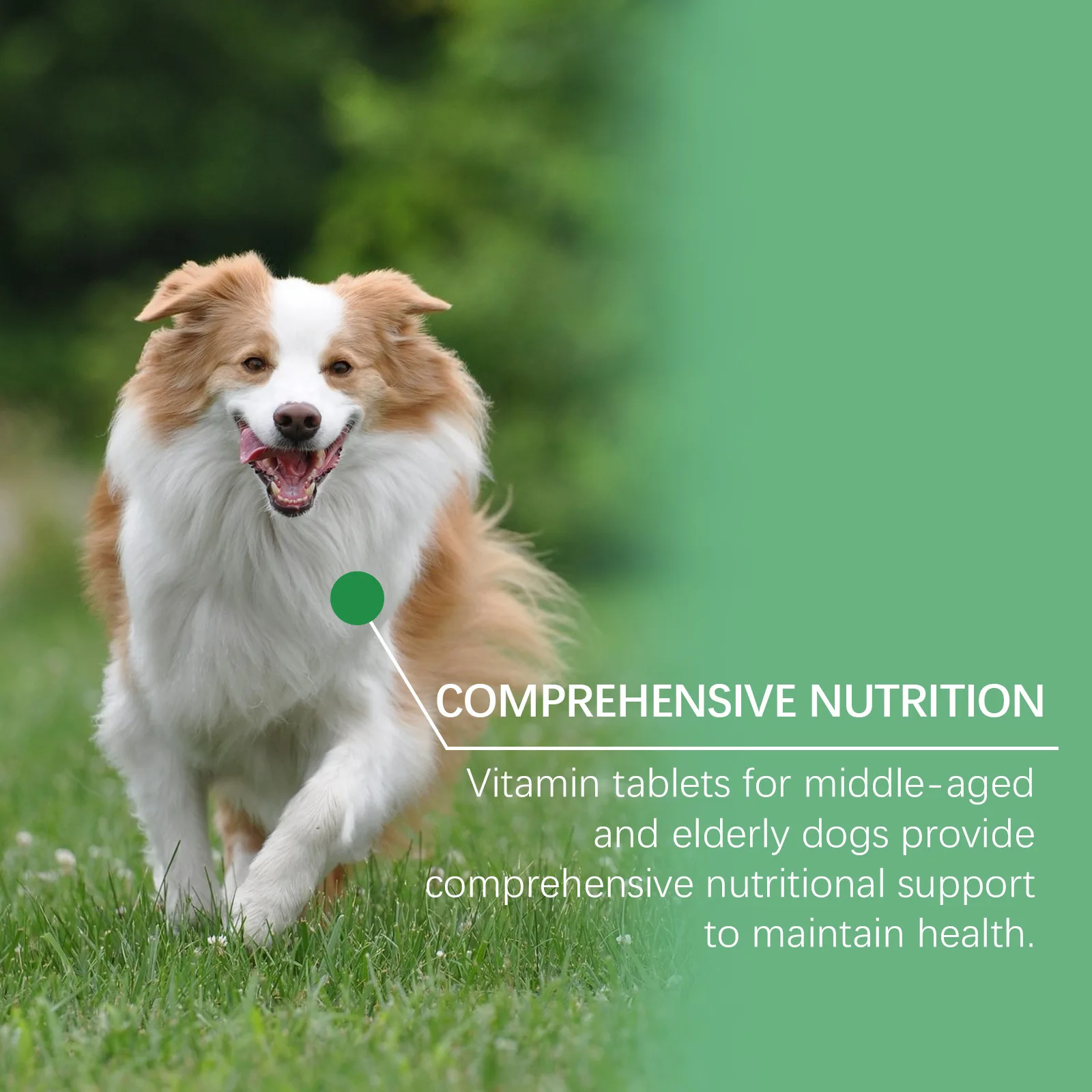 80 Tablets Senior Dog Multivitamins Essential Nutritional Supplement for PET Canine Health and Vitality