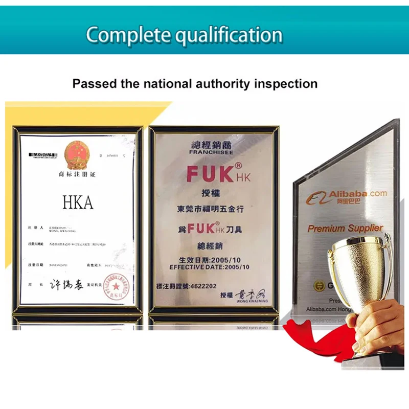 Lamina 16ER AG60 LT10 free shipping