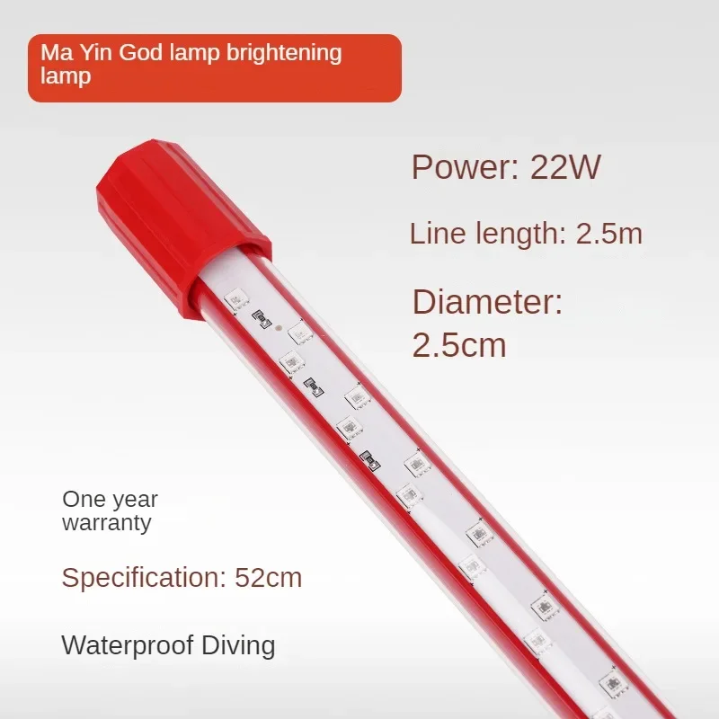 キ*ン様 Arowana Magical Light Series キ*ン様 Arowana Magical Light