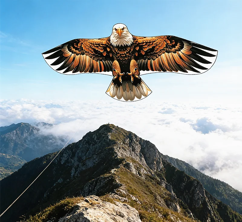 160 cm Adlerdrachen aus Nylon, Winddrachen für Kinder, Spielzeug, Outdoor-Drachen, professioneller Schlangendrachen, Schnur, Volantines, Flugzeugdrachen, Seil – Detail 3