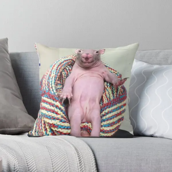 

Mole Rat In Chair Printing Throw Pillow Cover Car Decorative Sofa Waist Decor Case Soft Bed Hotel Pillows not include One Side