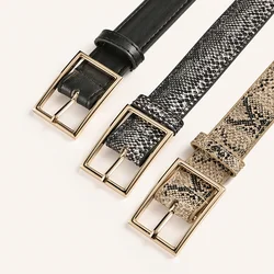 Button Snake Pattern Decoration Simple Versatile Dress Women's Belt All-match