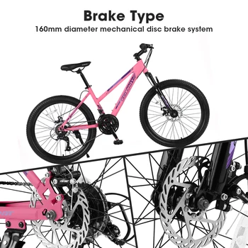 Ecarpat Mountain Bike 24 26 Inch Wheels, 21-Speed Disc Brake, Female Bicycles, 15 3