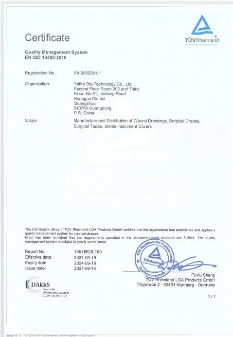 Negative Pressure Pump with RECO NPWT System