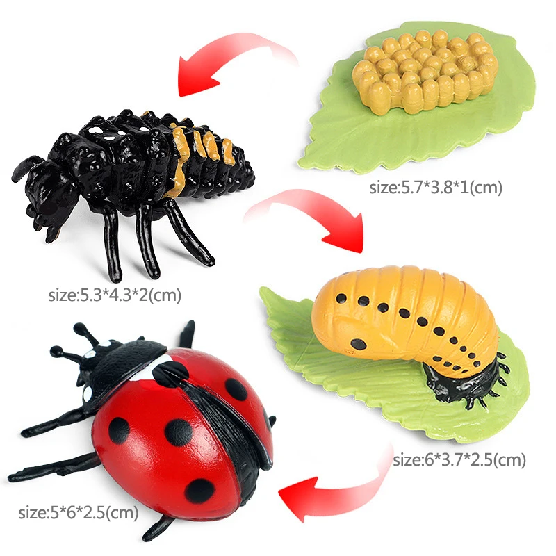 New Simulation Animal Insect Life Cycle Model Bee Butterfly Growth Cycle Figurine Action Figures Kid Cognitive Early Toy Collect deadpool toys Action & Toy Figures