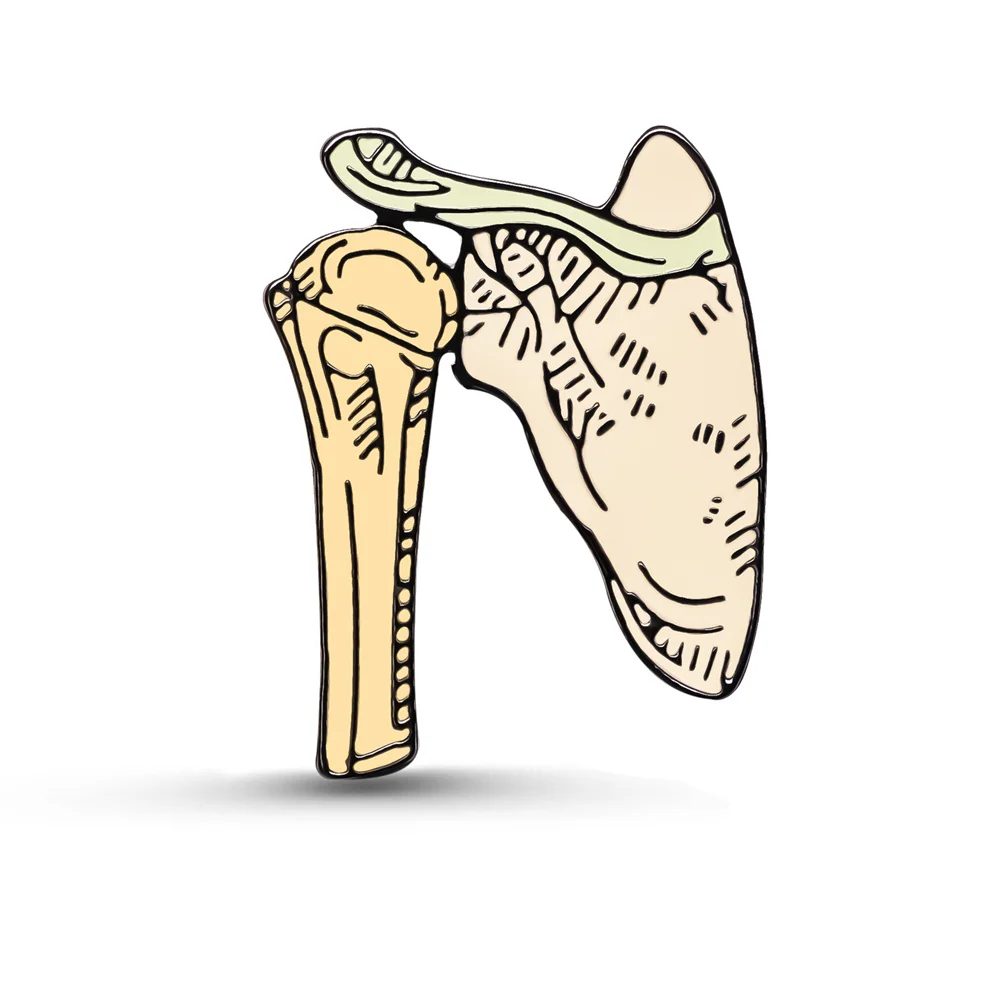 Harong kość ramienna i łopatka emaliowana szpilka wyśmienita anatomia ciała broszka z klapą ortopedia lekarz pielęgniarka odznaka