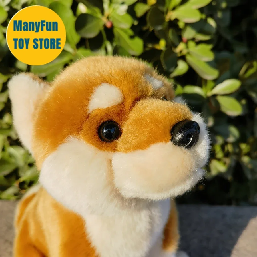Shiba Inu 플러시 장난감 고 충실도 개 플러시 일본 아키타 개 Peluche 실물 같은 시뮬레이션 박제 동물 인형 카와이 장난감 아이