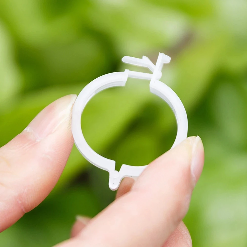 200Pcs Plastic Plant Supports Clips Plant Wall Climbing Fixing Clips Outdoor Flower Ornaments for Home Garden Indoor 30X9mm
