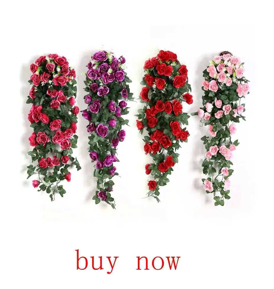 S0dd5dd3fff7b4927a5022861cc535524n