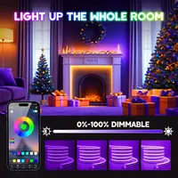 Bande lumineuse LED néon 24V RGB, 5m, 10m, 20m, 30m, application Bluetooth, 24 touches, 44 touches, télécommande, synchronisation de la musique, Kit d'alimentation, 60LED, décor étanche 4