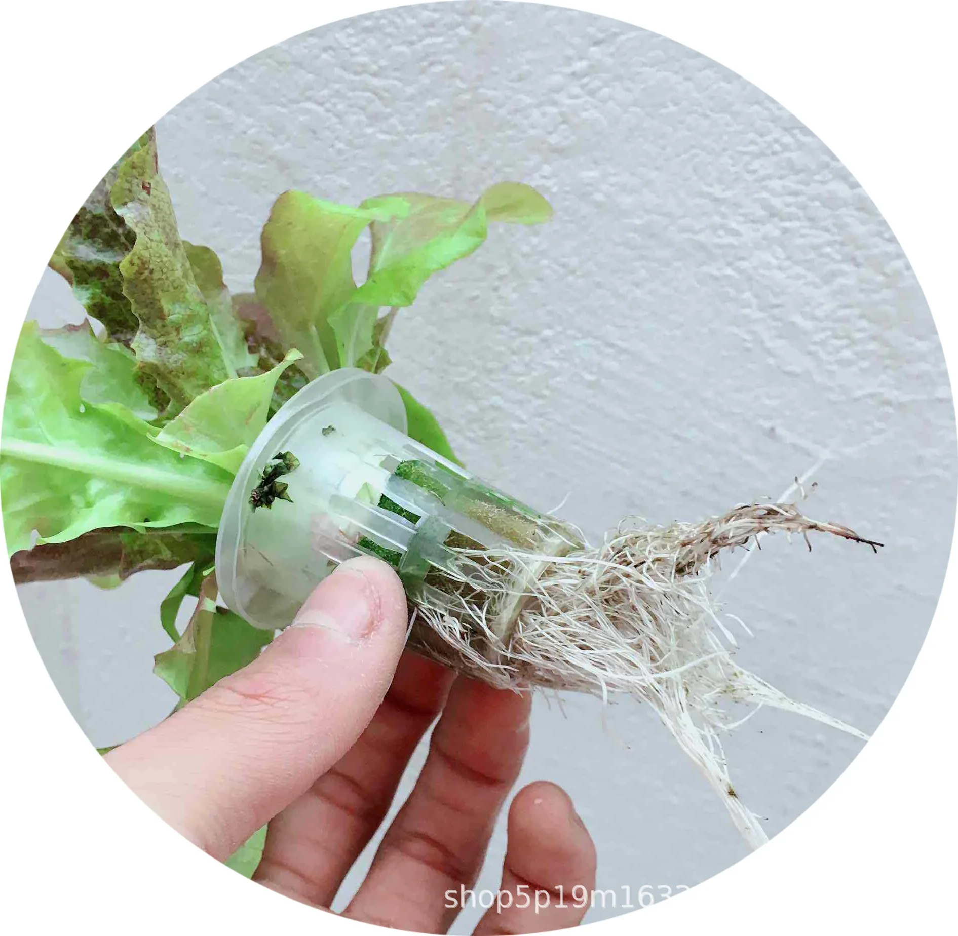 Pipe planting rack DIY hydroponics soilless cultivation home gardening PVC  pipe multi-layer vegetable planting equipment - AliExpress, image size:1891x1848