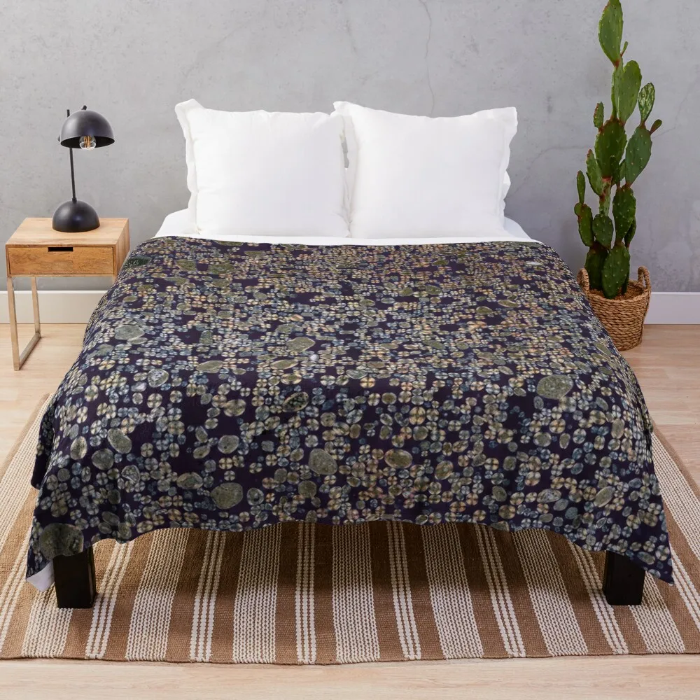 

Ooids XPL Throw Blanket Blanket Luxury Quilt Blanket Thin Blankets