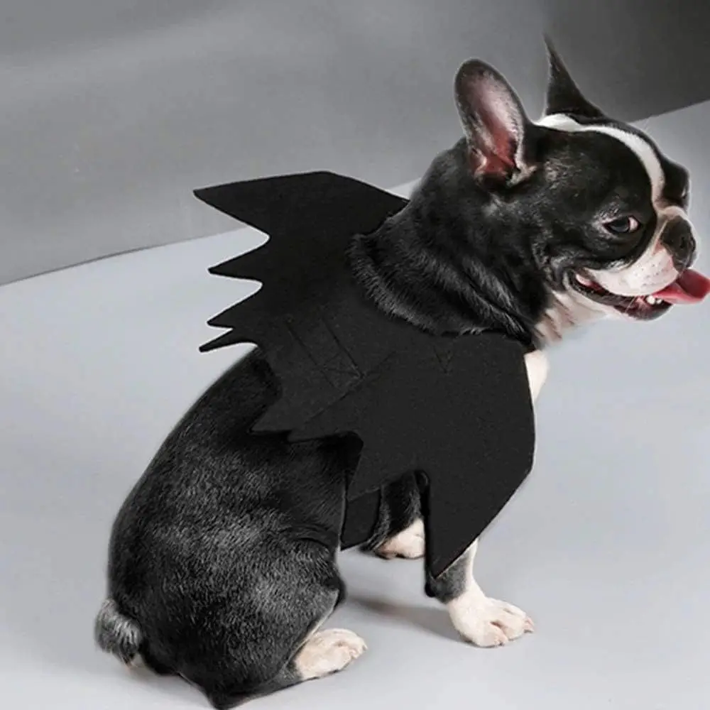 Bat Wings Costume for Dogs and Cats 6
