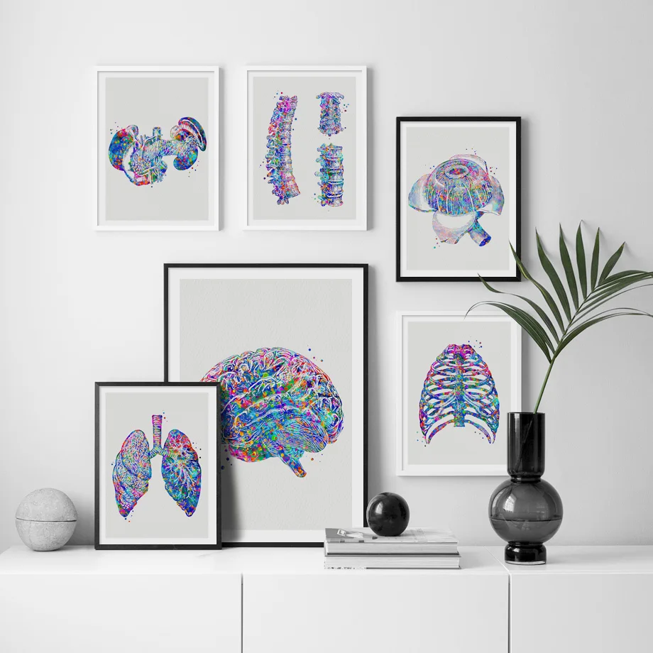 Liu Cixin 공상 과학 소설 풀 휴고 상 작품 컬렉션 테스트, 뇌 성장 책, 3 권 전체 작품 