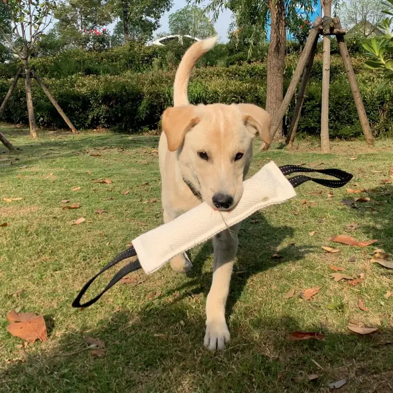ε巯  Ʒ  ƽ,   õ,   , ġ û  ݴ Ʒ ǰ,  ͱ 峭