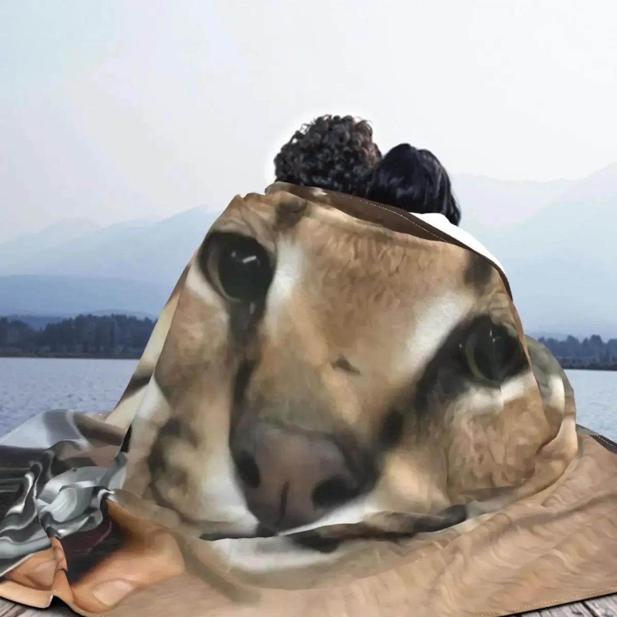 մ  ÷ , ε巯 ,  ö , , 繫 ħ, Ʈ , ŷ Ʈ 