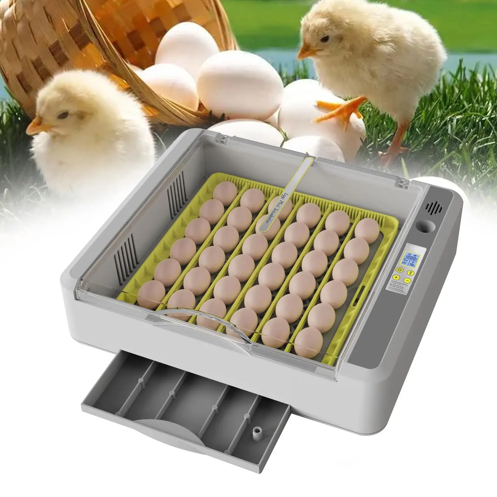 

36 Egg Incubator Lightweight Durable Multipurpose with Automatic Egg Turning Hatching Machine for Birds Pigeon Duck Quail Turkey