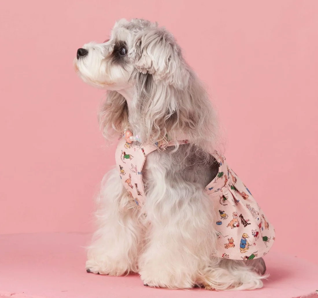 Sleeveless Cowboy Vest for Dogs, Tony Bears Dog Tank Top, Teddy, Schnauzer Bears, Marquis, Love, Spring, Summer, New