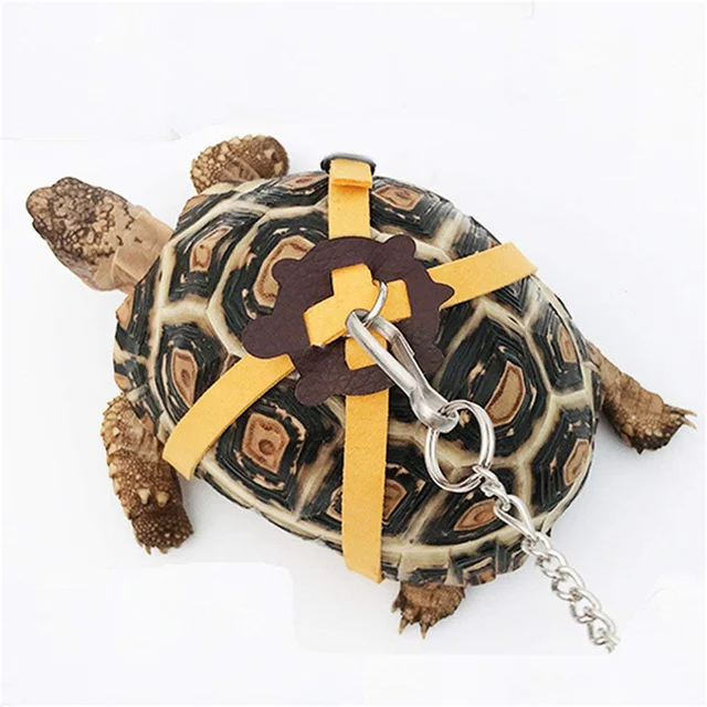 Turtle Traction Belt Control Rope Training Belt Outdoor Walking Leash Harness Reptile Leash Pet Supplies PU Leather Pet Traction Turtle Traction Belt Control Rope Training Belt Outdoor Walking Leash Harness Reptile Leash Pet Supplies PU Leather Pet Traction