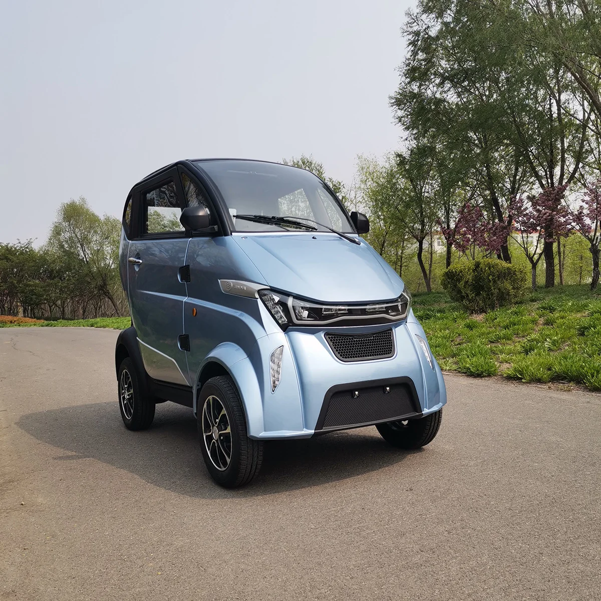 Рисунок 2 - Одобренный EEC 4-колесный автомобиль для взрослых Tuk