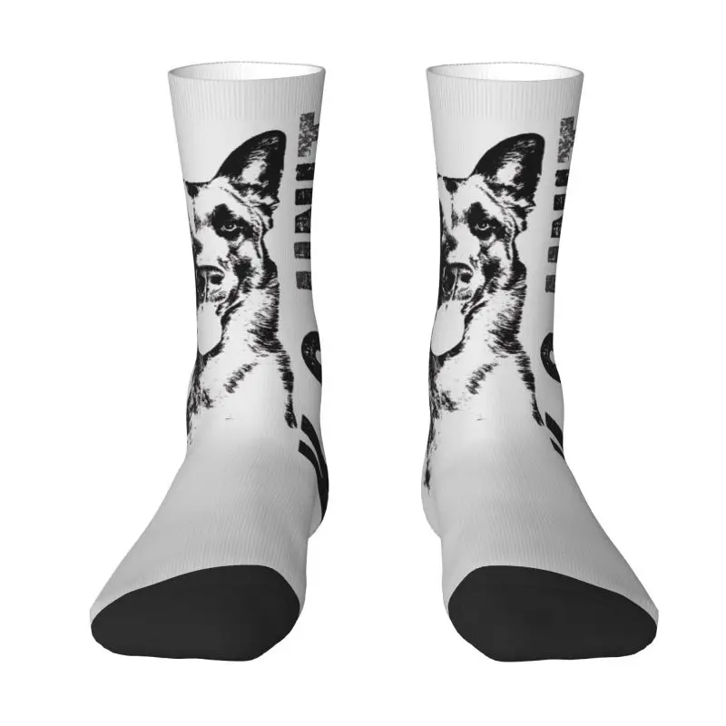 

Kawaii Mens Malinois Dog Belgian Shepherd Mechelaar Dress Socks Unisex Warm Comfortable 3D Print Crew Socks