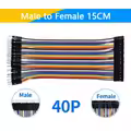 Male to Female 15CM