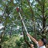Cordless Electric Branch Scissors Brushless Pruner Shear Lithium-Ion Branches Scissor Electric Tree Branches Cutter Garden Tools 5