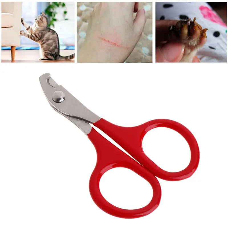 

Dog for Cat Paw Scissors Non-slip Grip Easy to Use Pet Grooming
