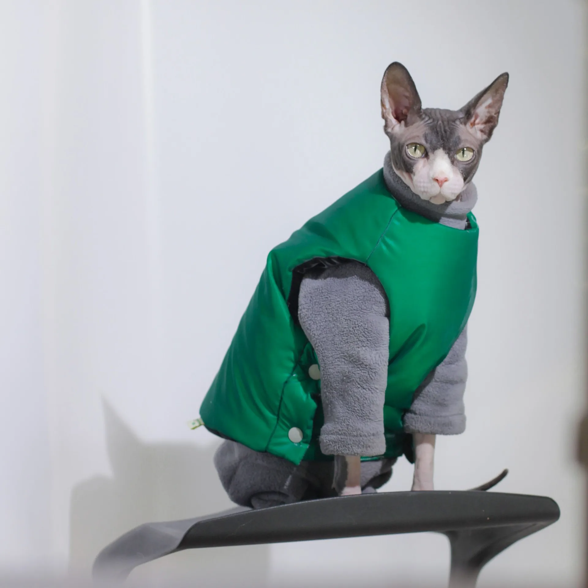 

FunPets 1PCPet Cat Warm Cotton Clothes Button Reversible Wearing Comfortable Smooth Vest Winter Outdoor Matching Clothers