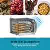 Elite Gourmet Food Dehydrator, Stainless Steel Trays Food Dehydrator, Adjustable Temperature Controls, Jerky Herbs Fruit Veggies 6