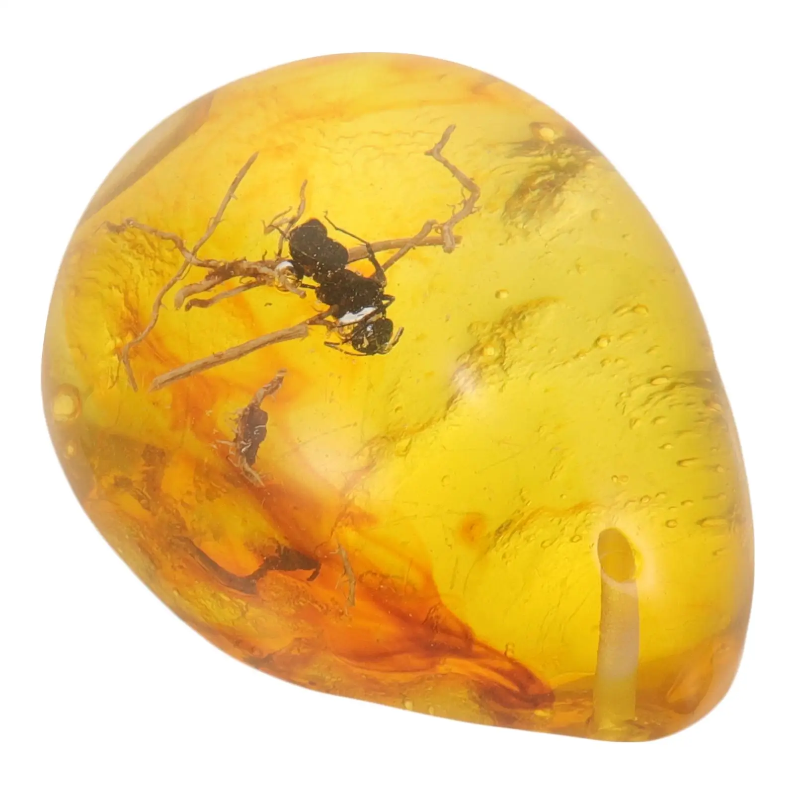 Amber Locket Insect Pendant Ornament Specimen with Decor for DIY Crafts Insects Decoration Stone 6