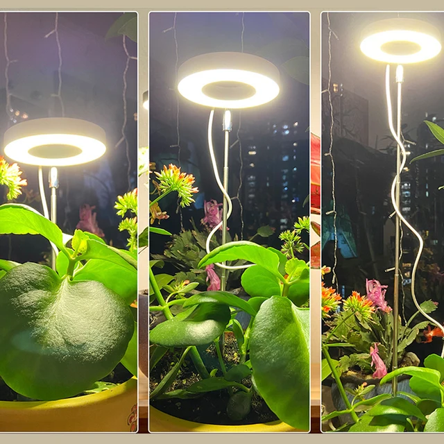 Led Grow Fight Teljes Spektrum Növény Növekedési Lámpa Usb 5V Magasság Állítható Tompítható Termesztési Időzítővel Beltéri Növények Gyógynövényéhez