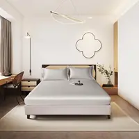 Ice Silk Bedsheet Mattress Bed Sheet Set, Luxury & Ultra Soft, Breathable Fabric, Anti-Slip Design Fitted Sheet Mattress Bedding 1