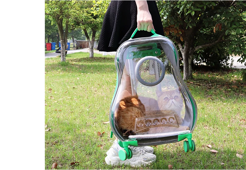 Large Portable Cat Travel Bag Pet Transparent Trolley Case Pet Carriers Travel Products