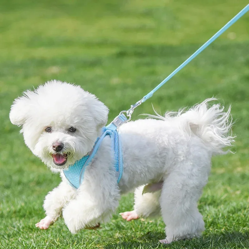 Dog Harness Vest Chest Cat Collars Rope Adjustable Breathable Mesh Dog Harness Clothes Outdoor Walking Small Medium Pet Supplies pet harness leash set,pet harness set