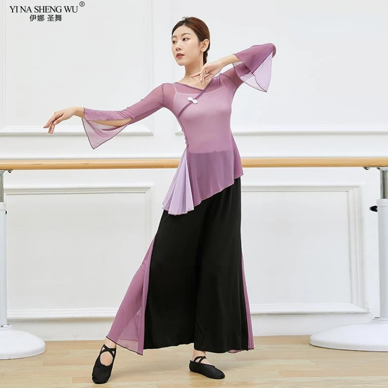 

New Style Classical Dance Adult Folk Dance Clothes Body Practice Dance Performance Clothes Elegant Color Matching Tulle Suit
