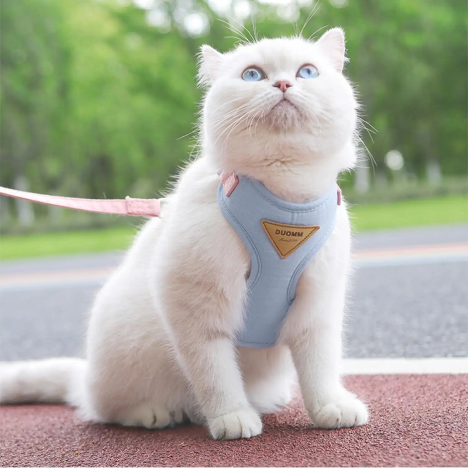 Accessoires de promenade pour chatons et chiots : ensemble harnais et laisse tendance pour petits chiens et chats, harnais respirant et résistant pour chatons._voghion.com