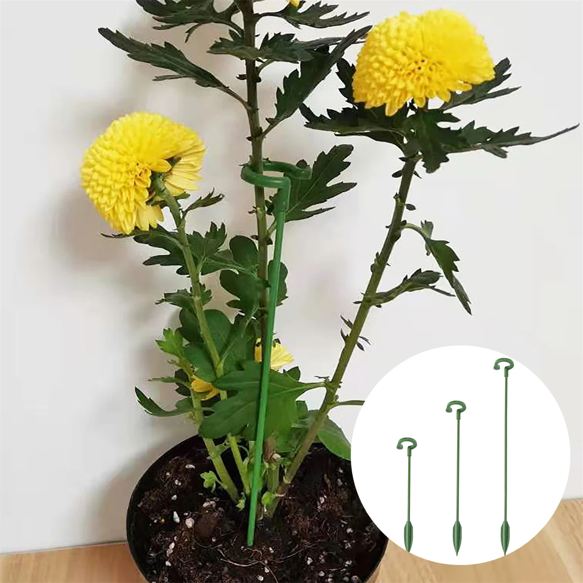 17/27/37cm Garden Potted Plants Stem Support Holder Greenhouse Vegetable Butterfly Orchid Flower Climbing Fixed Supporter 10Pcs