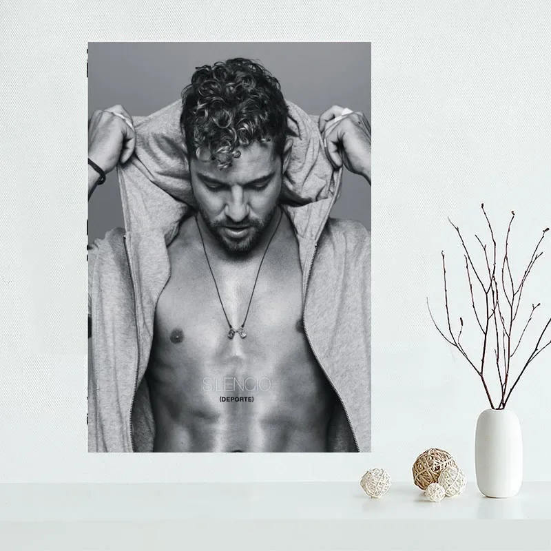 Custom High Quality David Bisbal Canvas Painting Wall Silk Poster Cloth Print DIY Fabric Poster