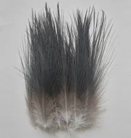 50Pcs Natural Colour Heron Feathers 4-8" 10-20cm 2