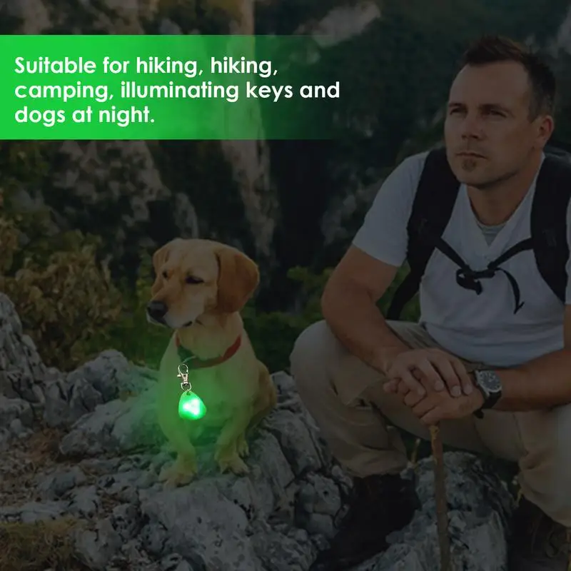 

Led Dog Collar Pendant Rechargeable Pet Usb Luminous Collar Pendant Pet Flash Light Leashs Accessorie Decoration Dog Necklace