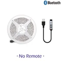 No remote