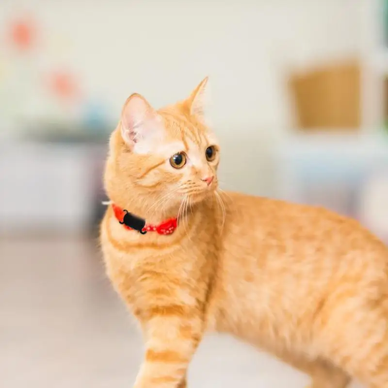 Рисунок 2 - Силиконовый защитный чехол для плитки