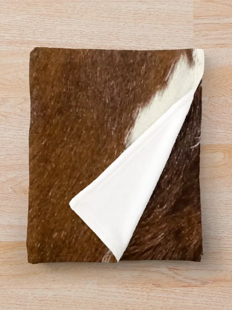 �ε巯�� �ϼ� ����Ʈ ���ο� ���, ħ��  ���, ����� �� �ʼ� ���