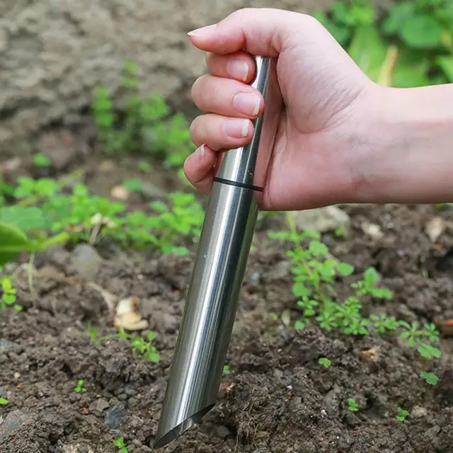 Kézi Disznó Szerszám Rozsdamentes Acél Izzó Transzplanter Dibber Garden A Vetés Átültetéséhez Egyedi Ferde - Image 5
