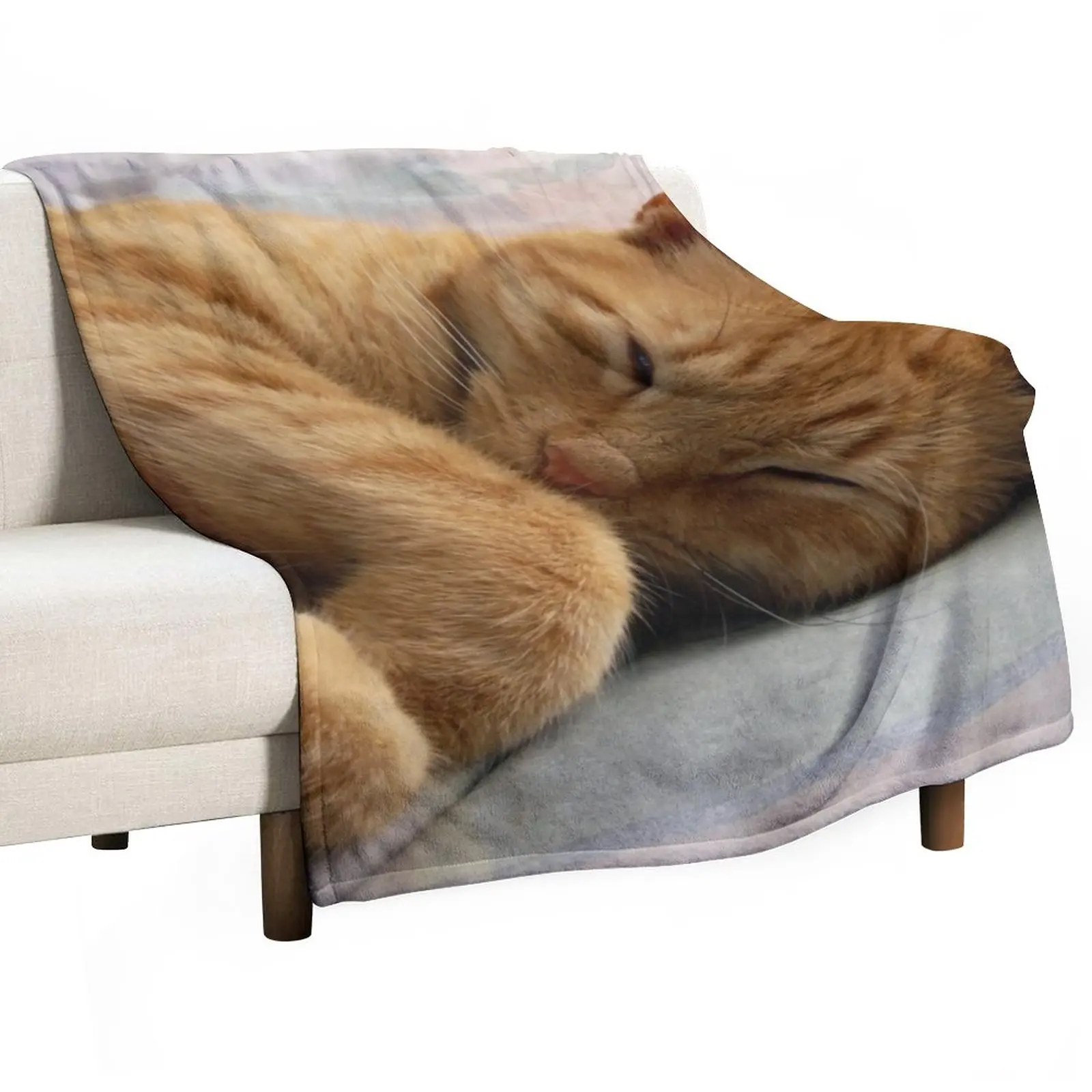 

Ginger Cat Sleeping Throw Blanket Retro Blankets Plaid on the sofa
