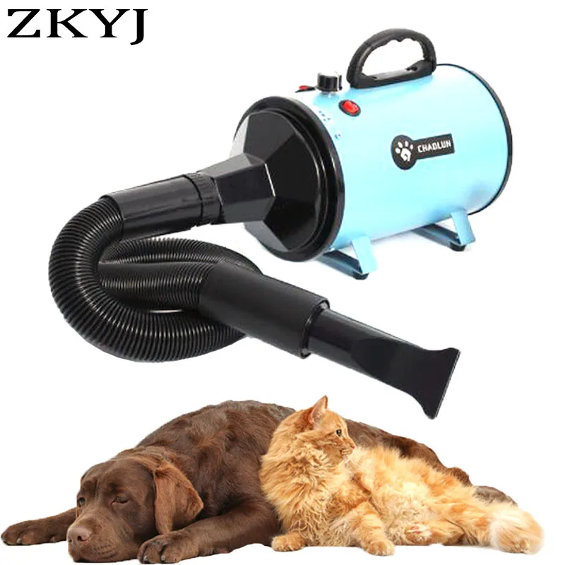 

Высокоскоростной фен для домашних животных с подогревом для собак и кошек 3 л. С. Мощная бесступенчатая регулировка скорости для снижения уровня шума