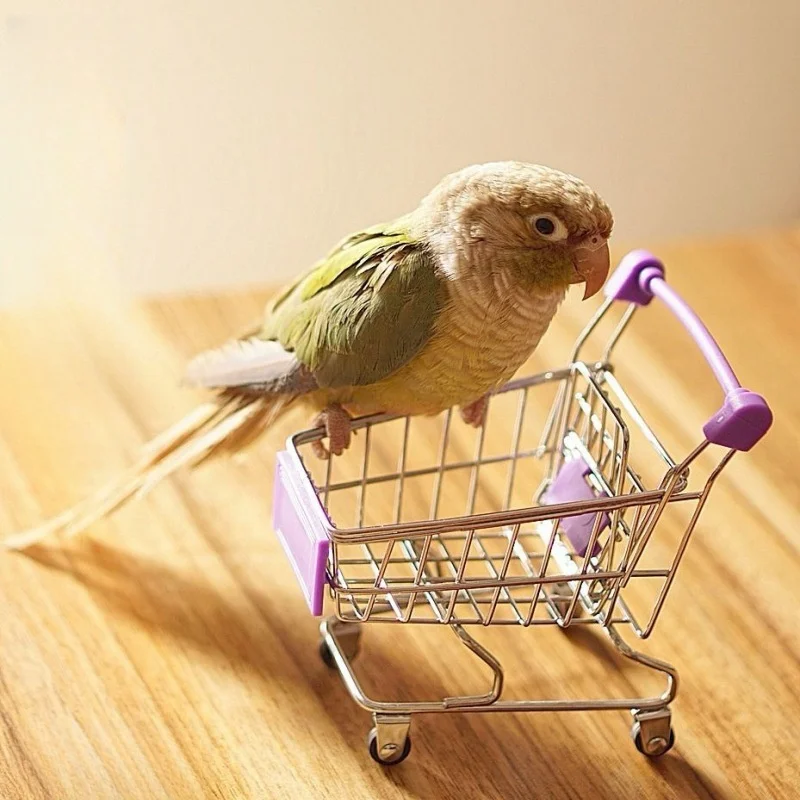 1 pc náhodné barva papoušci mini nákup vozík hračka pro ptáci papoušci legrační slitina ptáci tvoření klec příslušenství